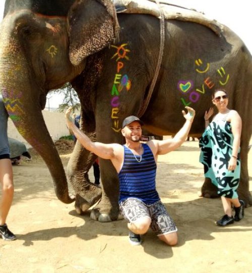 elephant ride in jaipur